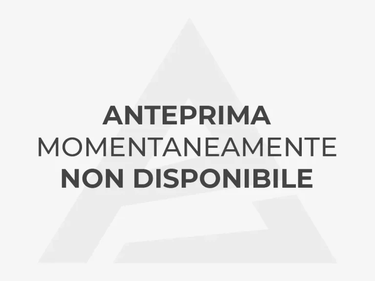anteprima immagine non disponibile